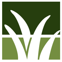 Greenwood Lawn Clean Up