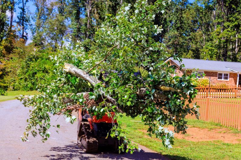 Leaf Removal detail