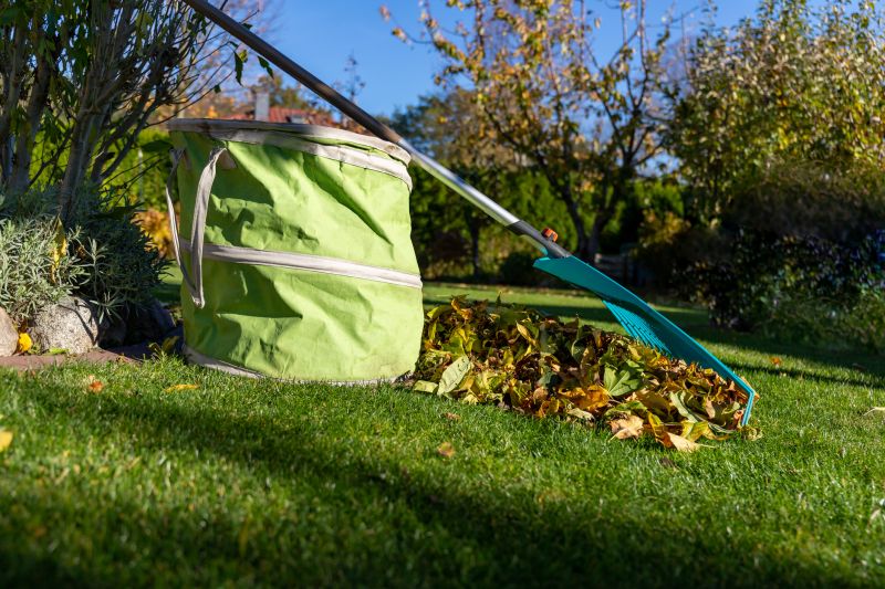 Fall leaf collection