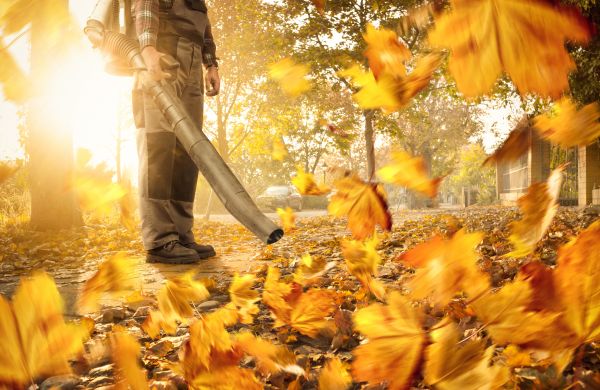 Leaf Blowing Service in Greenwood