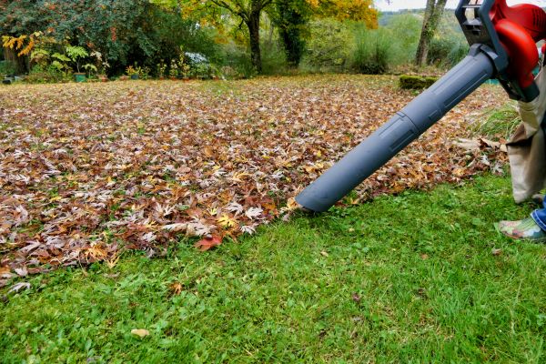 Leaf Vacuuming Service in Greenwood
