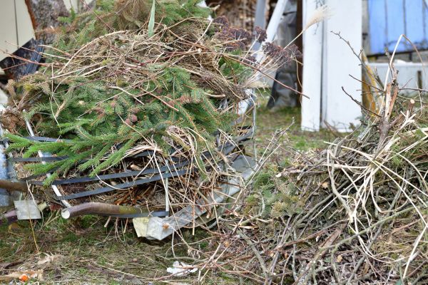 Yard Debris Removal in Greenwood