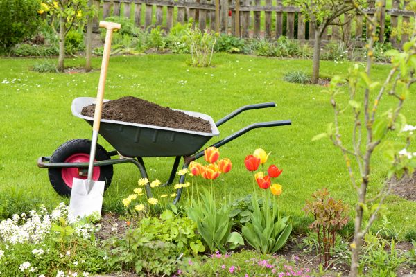 Cost of Spring Yard Cleanup in Greenwood