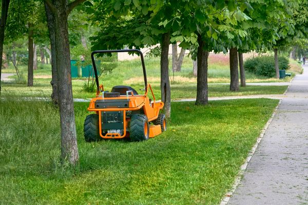 Landscaping Cleanup Service in Greenwood