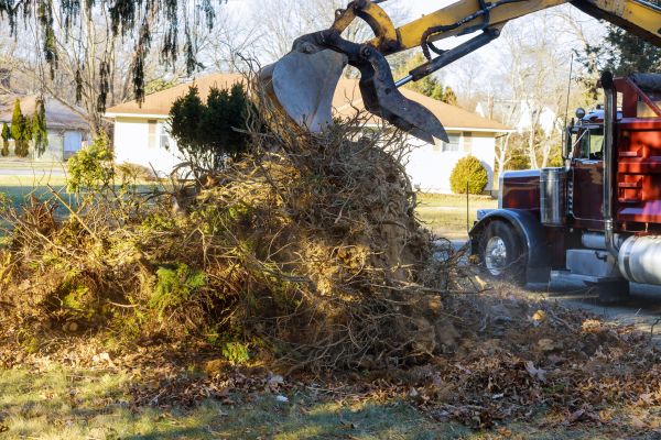Storm Debris Removal in Greenwood