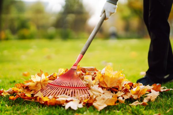 Ditch Leaf Removal in Greenwood