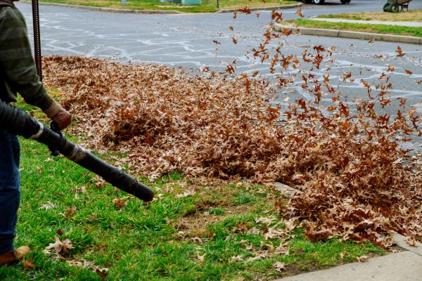 Cost of Garden Leaf Removal in Greenwood