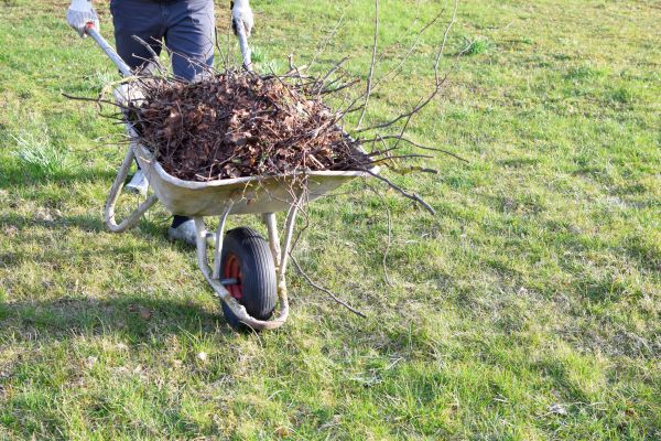 Yard Brush Removal in Greenwood