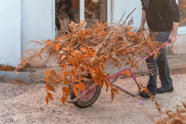 Lawn Debris Cleanup in Greenwood