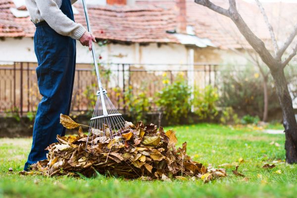 Spring Lawn Cleanup in Greenwood