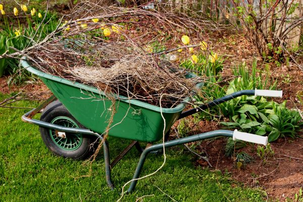 Lawn Waste Removal in Greenwood