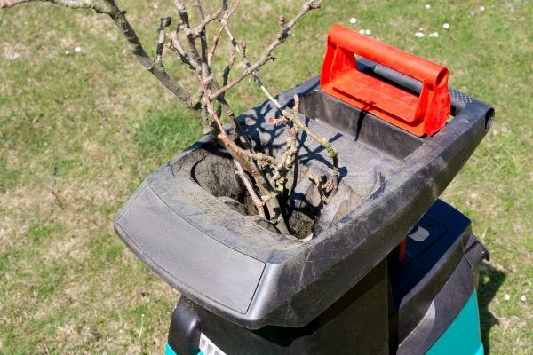 Brush Cleanup Service in Greenwood