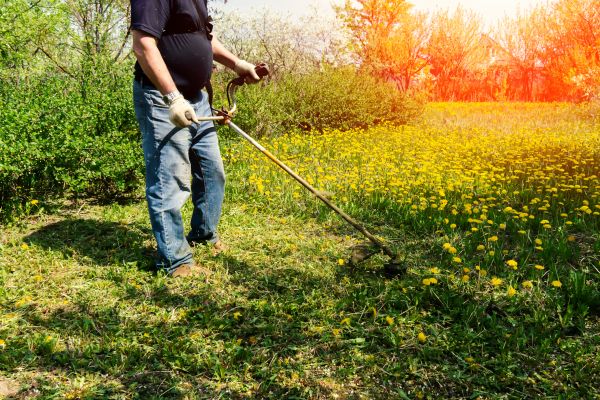 Yard Clearing Service in Greenwood