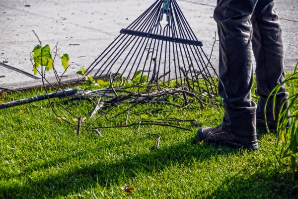 Yard Debris Cleanup in Greenwood