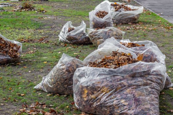 Cost of Leaf Pile Disposal in Greenwood
