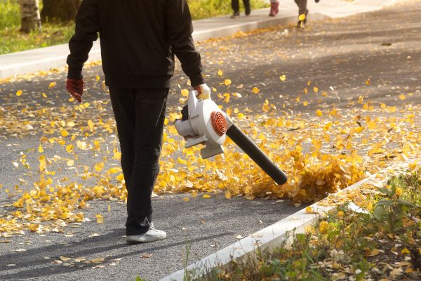 Commercial Leaf Removal in Greenwood